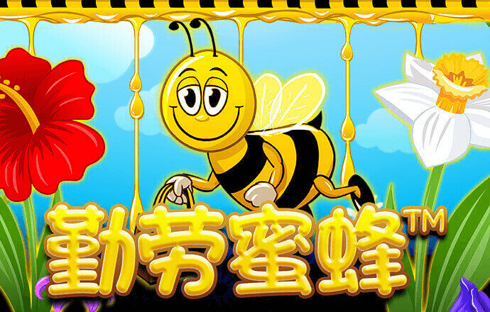 五五世纪官网